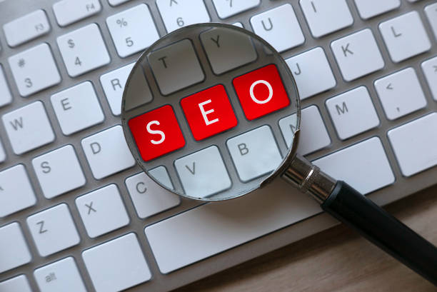 SEO Company in Udaipur
